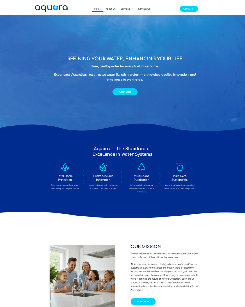 Web development portfolio project by Ali Haseeb - Professional web developer & CMS expert from Islamabad, Pakistan